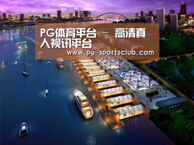 案例展示八