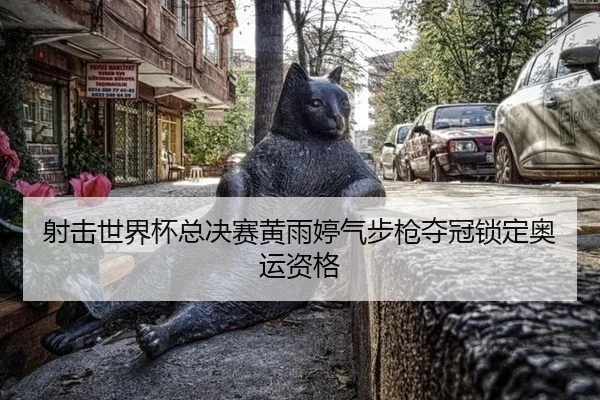 射击世界杯总决赛黄雨婷气步枪夺冠锁定奥运资格