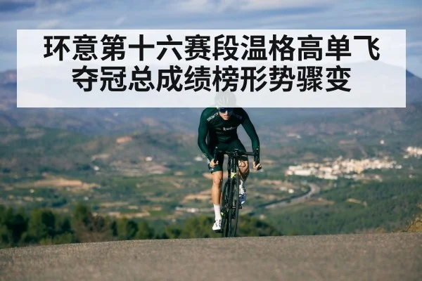 环意第十六赛段温格高单飞夺冠总成绩榜形势骤变